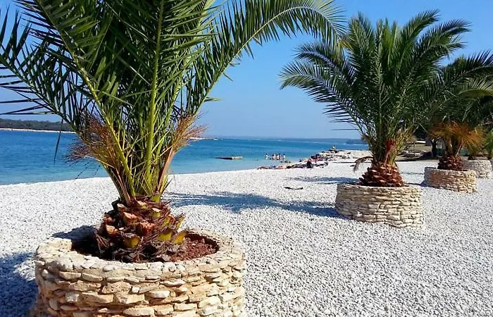 Apartament The Big Smile