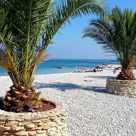 公寓 The Big Smile